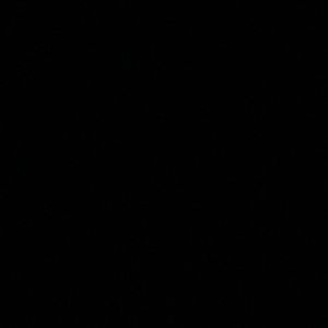 Meet your Posher, Suzy